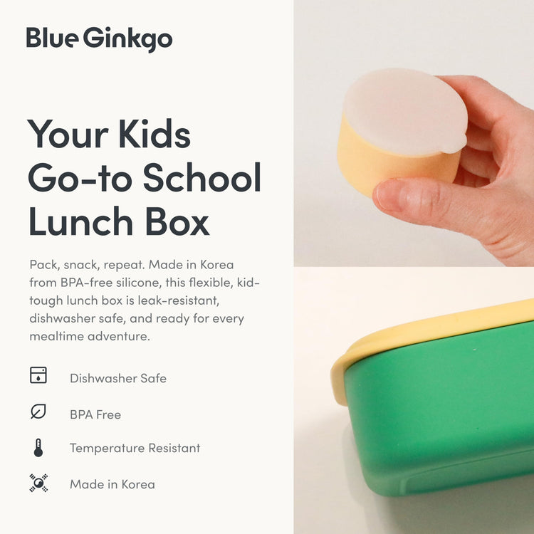 Bento Style Silicone Lunch Box Set