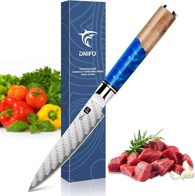 Kitchen Utility Knife 5 Inch, Japanese VG10 Steel Damascus Paring knife, Small Kitchen chef Knife with Gift Box and Resin Wood Handle, Ideal Birthday Gift for Men and Women