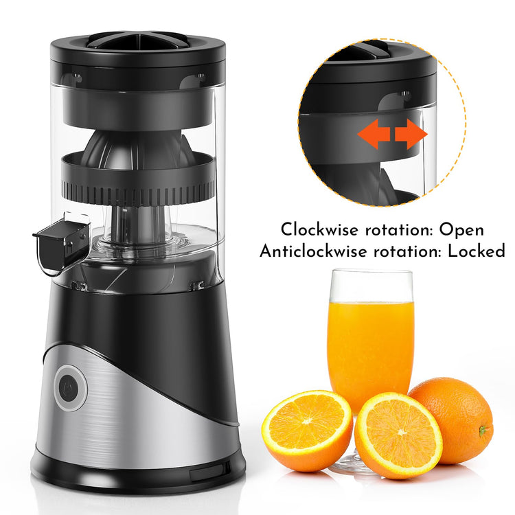 Electric Citrus Juicer