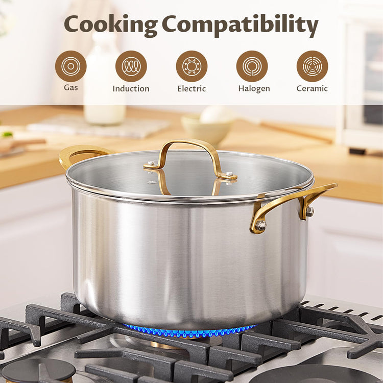 6 QT Stock Pot with Lid