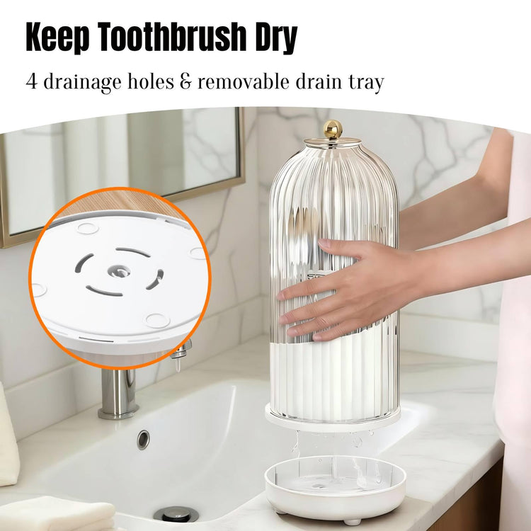 Dustproof Toothbrush Holder Organizer with Drainage