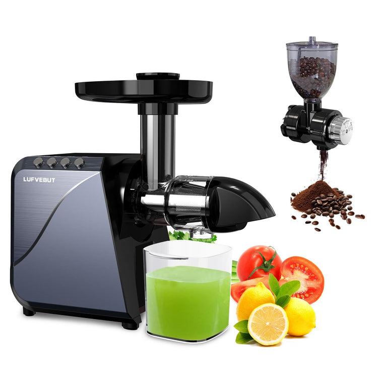 Cold Press Juicer Extractor Fruit Vegetable