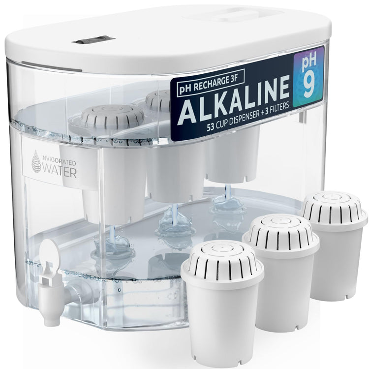 Alkaline Water Filter Dispenser (3 Count)