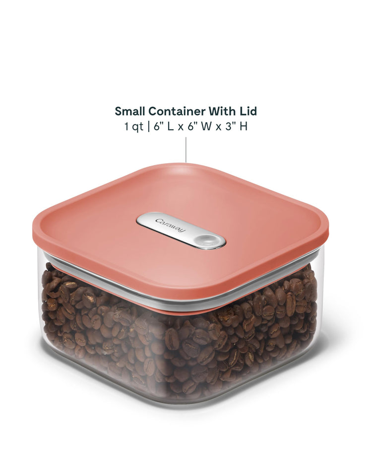 1 qt Glass Airtight Food Storage Container with Lid