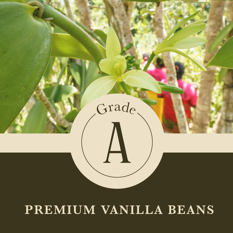 Choice Pure Madagascar Vanilla Extract for Baking (16 Fl Oz)