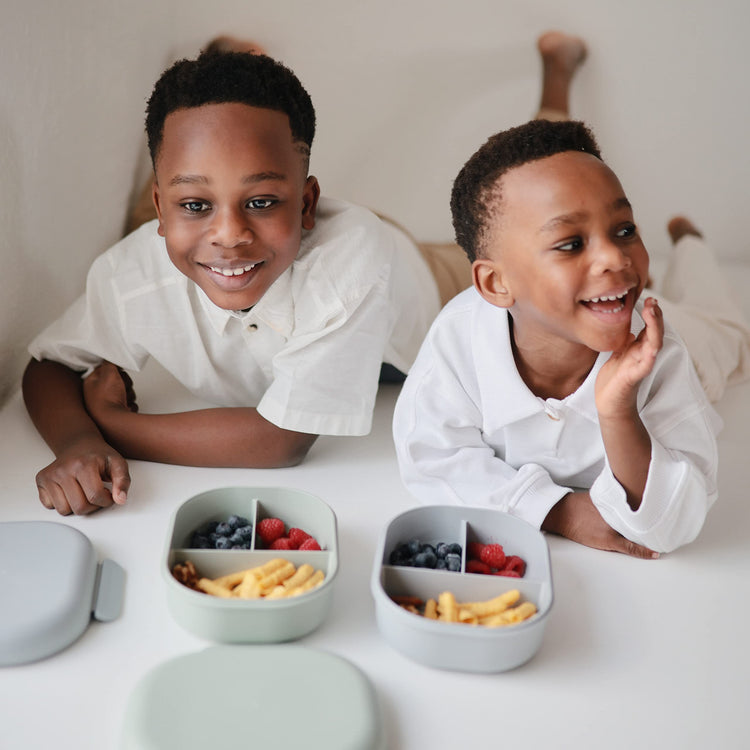 Kids Bento Lunch Box