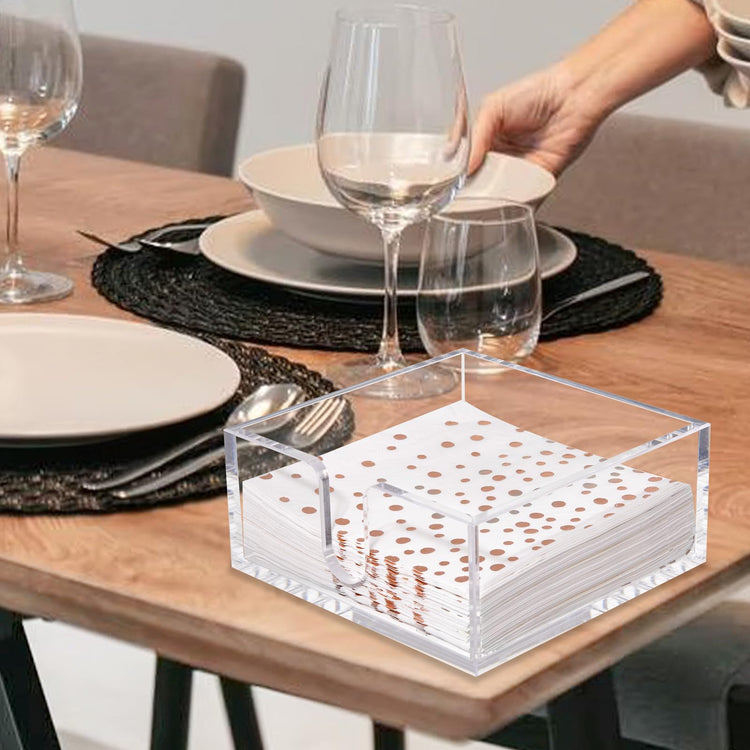 2 Pack Napkin Holder