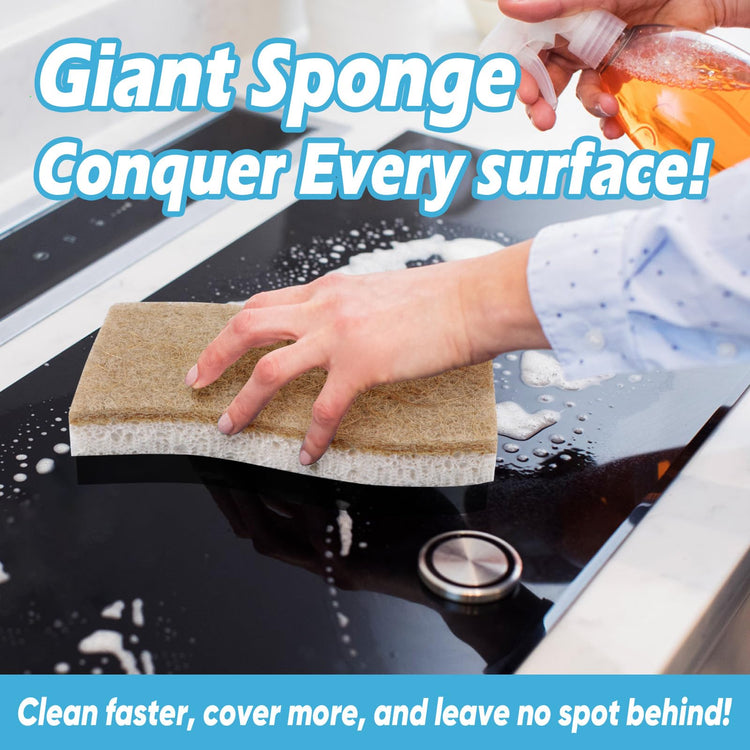 XL Sponges Kitchen (6 Count)