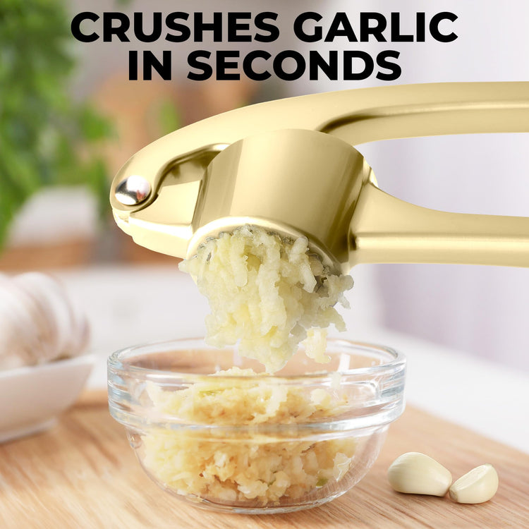 Large Premium Garlic Press Set