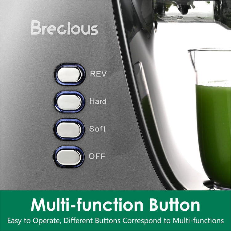 Slow Masticating Juicer