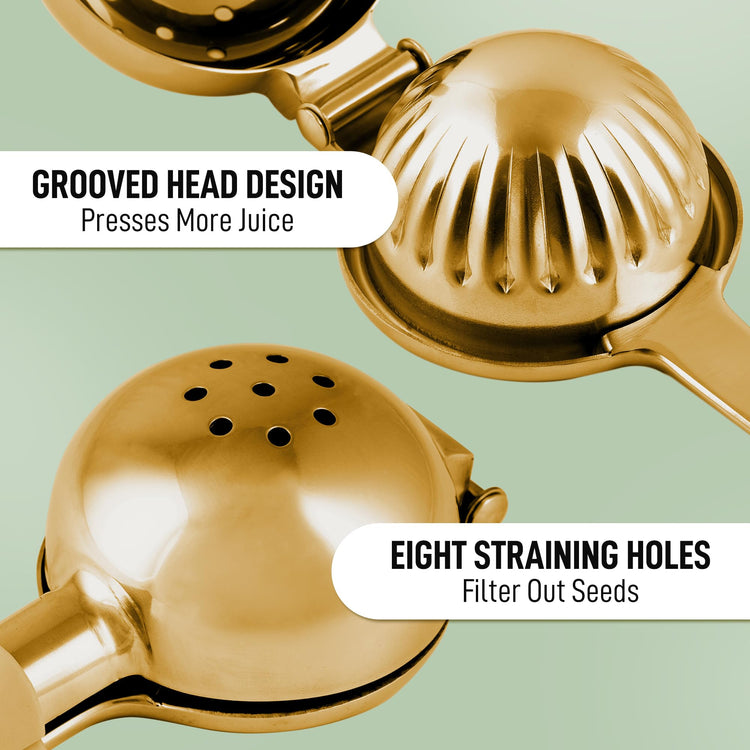 Lemon Squeezer Stainless Steel