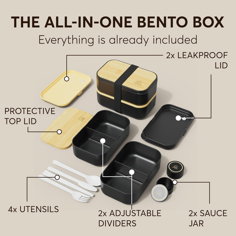 Bento Box Adult