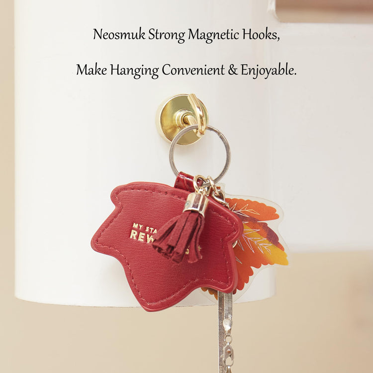 Magnetic Hooks (10 Count)