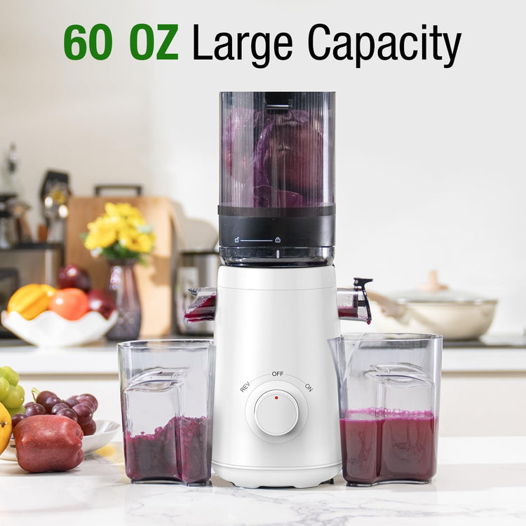 Cold Press Juicer Machine