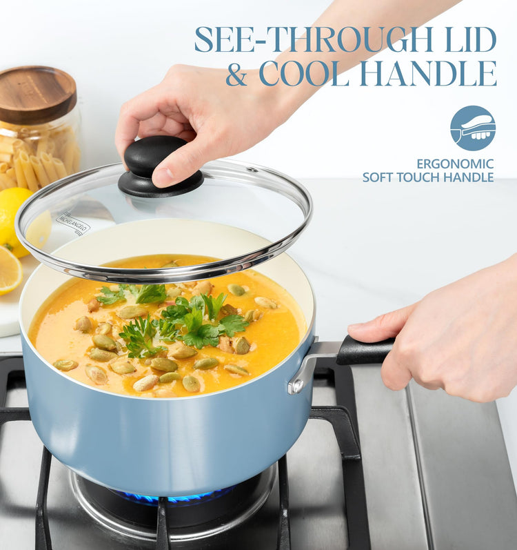 Nonstick Sauce Pan with Lid