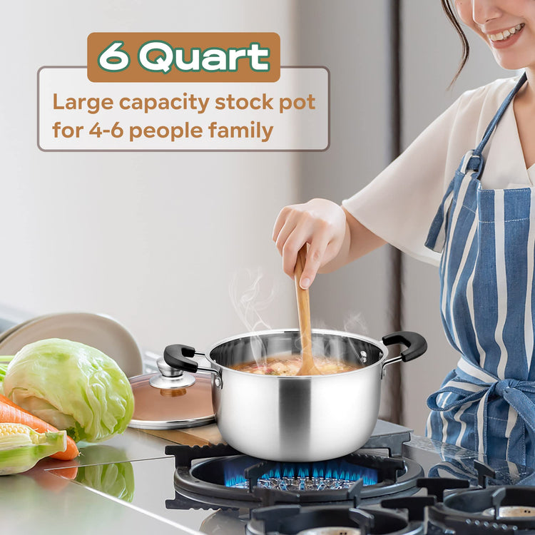 6QT Stock Pot with Lid