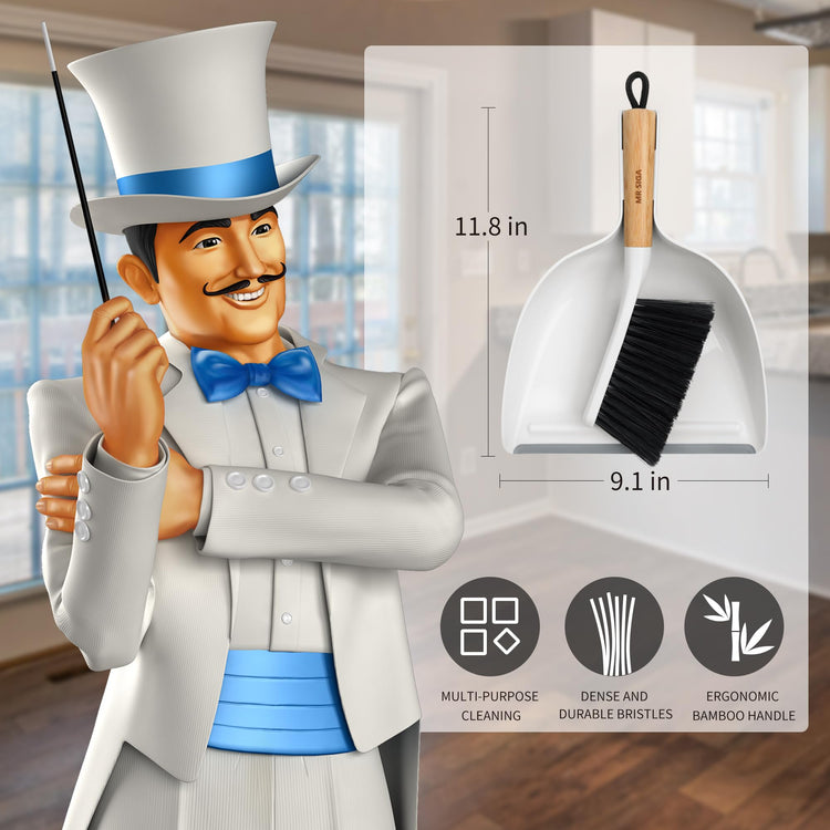 Dustpan and Brush Set