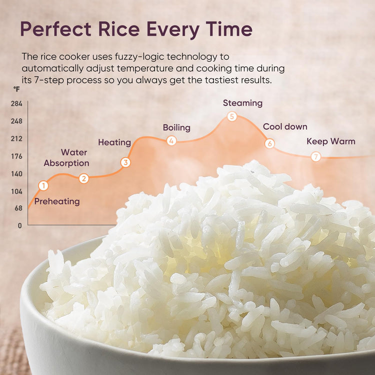 Rice Cooker 10 Cup