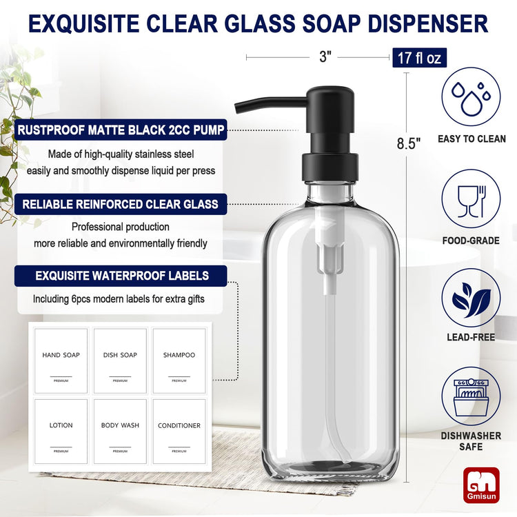 Glass Soap Dispenser with Pump (2 Count)
