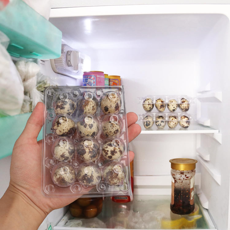 200 Pack Quail Egg Cartons (200 Count)