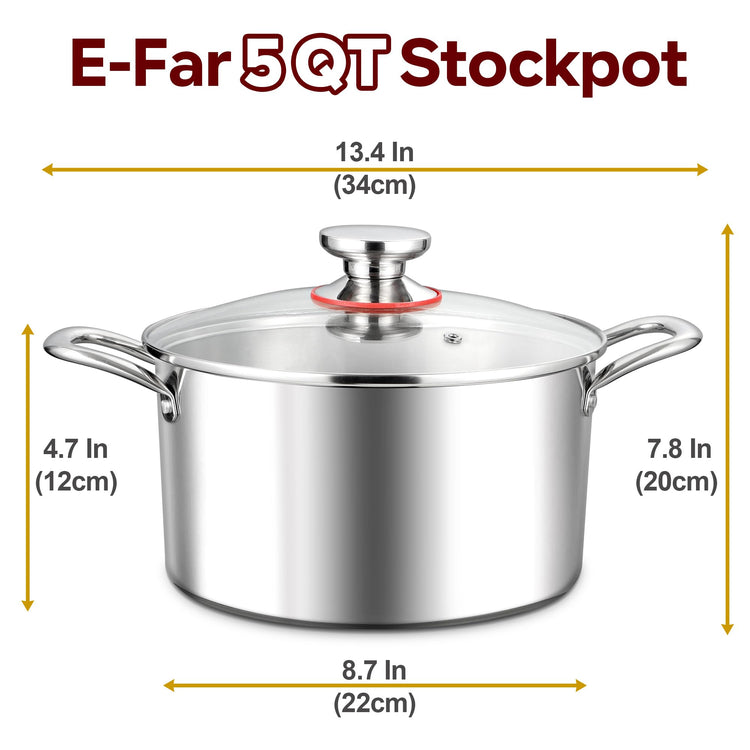 5 Quart Stock Pot with Lid