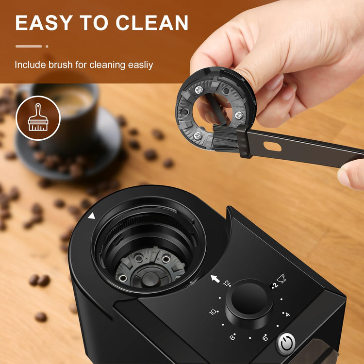 Electric Burr Coffee Grinder