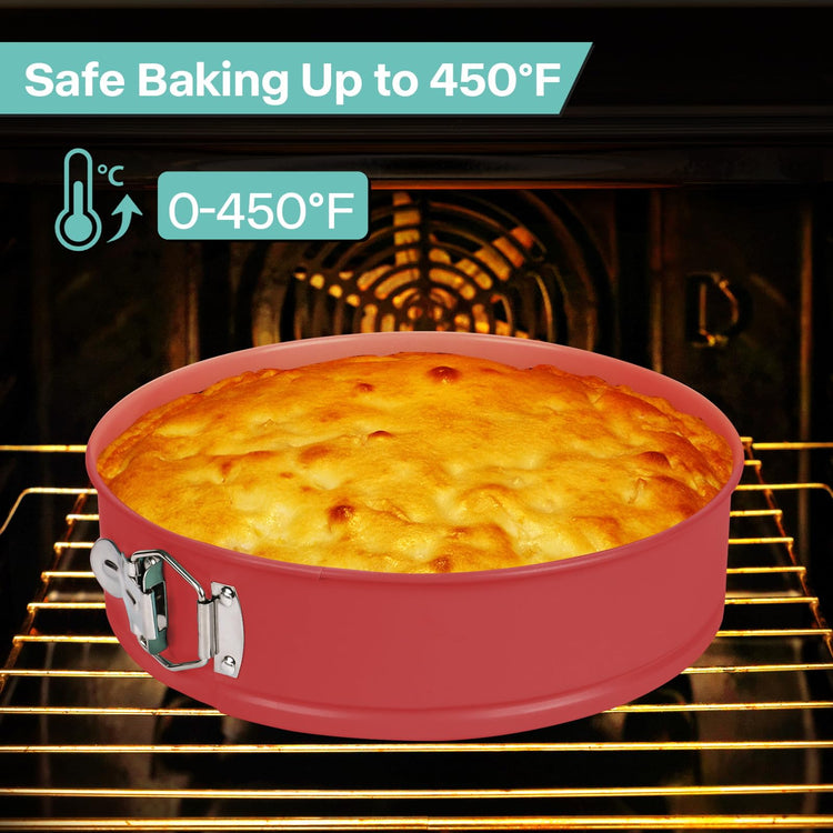 10In Glass Bottom Springform Pan