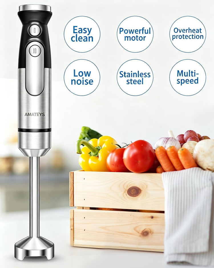 Immersion Blender Handheld