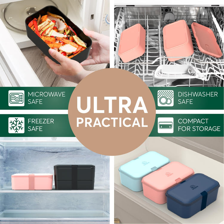 Bento Box Adult