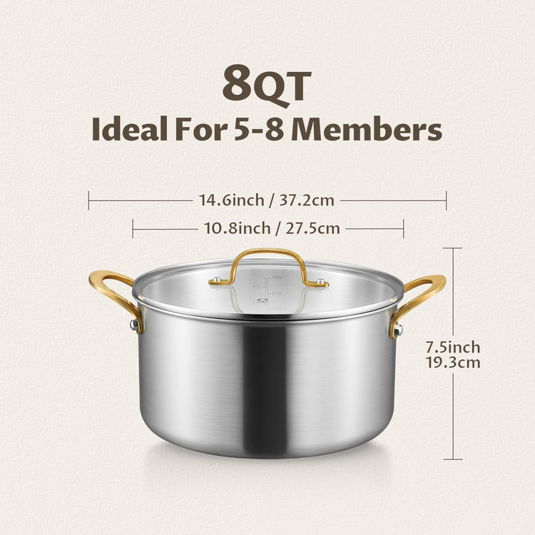 8 QT Stock Pot with Lid