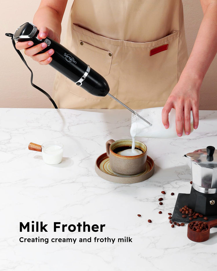 Immersion Blender Handheld