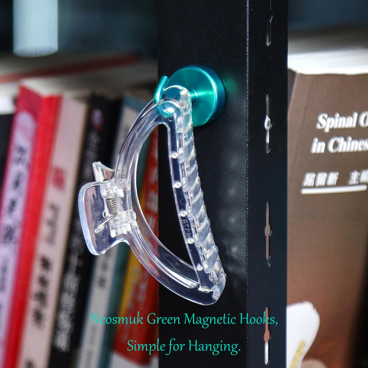 Magnetic Hooks (10 Count)