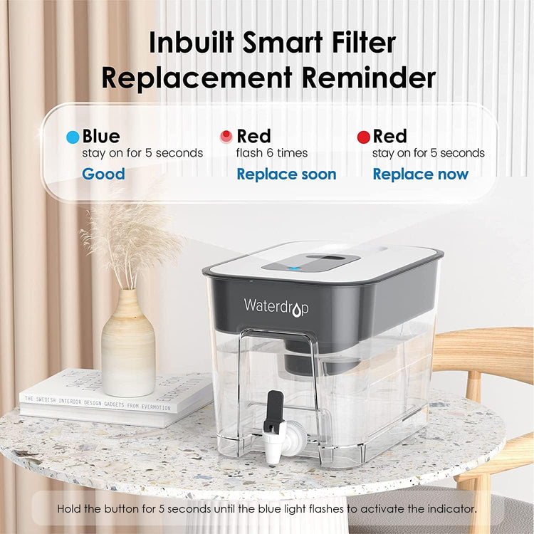 WFD 22L Large Water Filter Dispenser