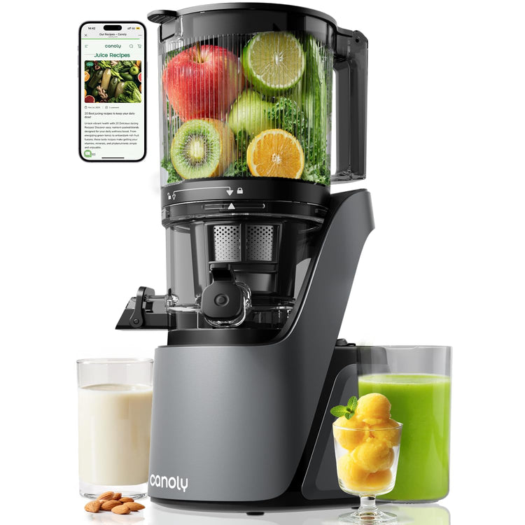 3-in-1 Cold Press Juicer C16, Makes Juice & Sorbet & Nut Milk