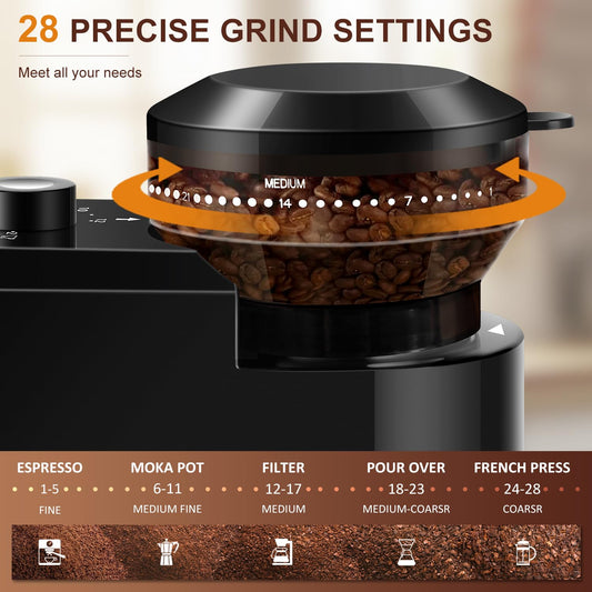 Electric Burr Coffee Grinder