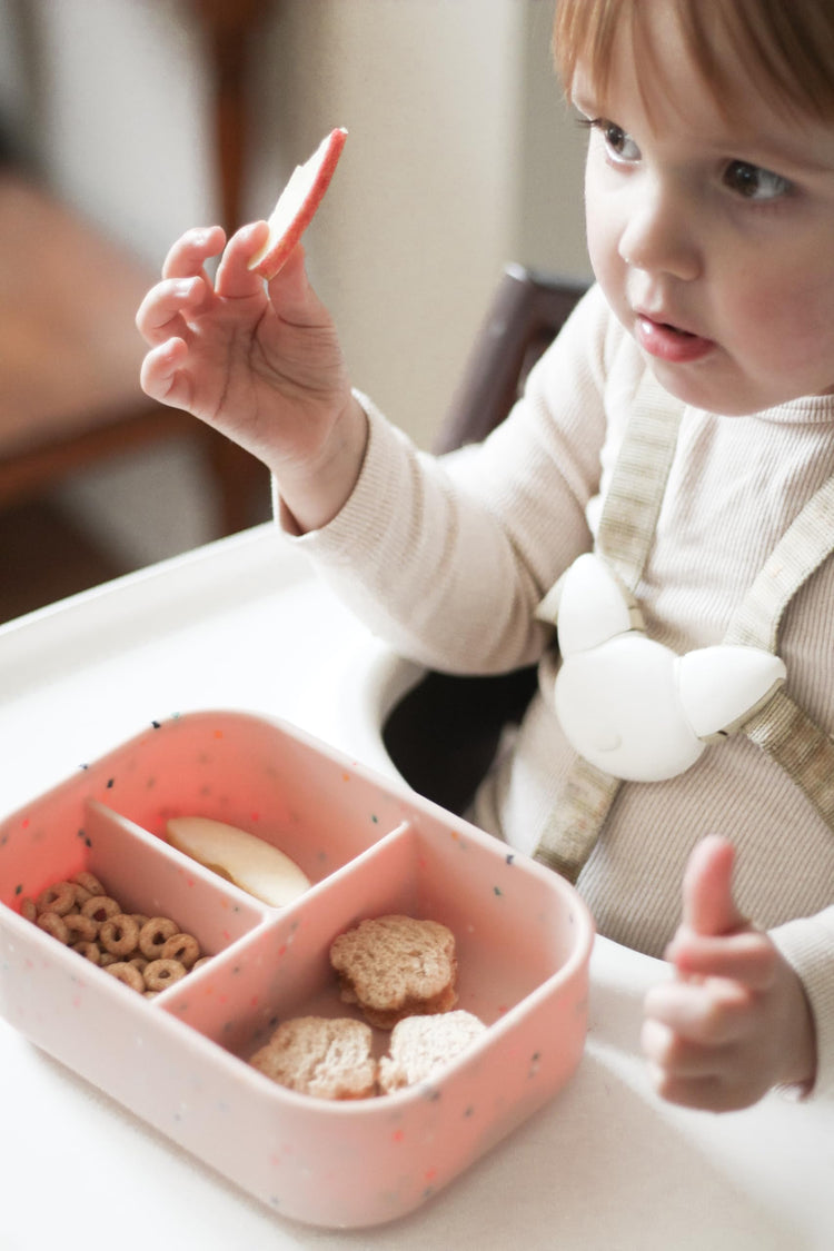 Kids Bento Box
