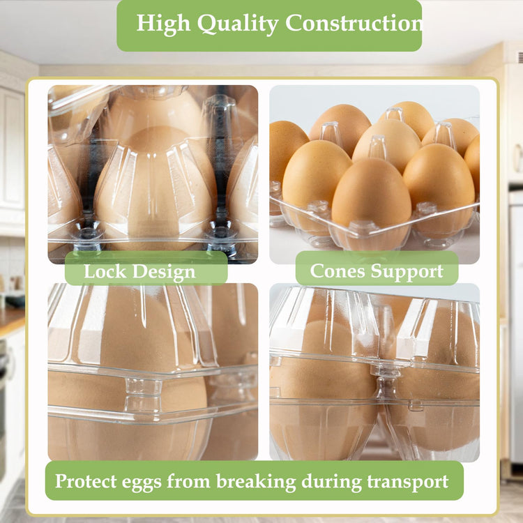 48 Pack Egg Cartons Cheap Bulk 12 Count