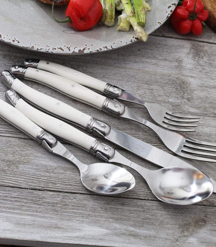 Laguiole 20 Piece Stainless Steel Flatware Set