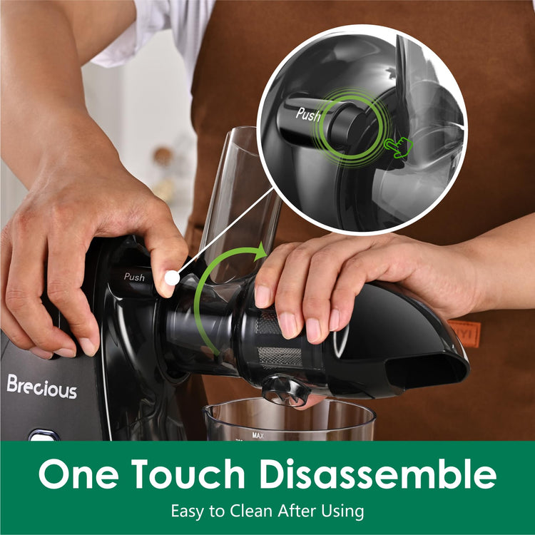 Slow Masticating Juicer
