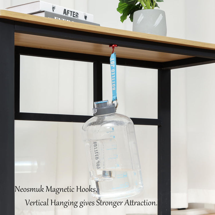 Magnetic Hooks (10 Count)