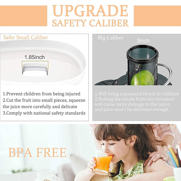 Pro 2025 Updated Slow Masticating Juicer