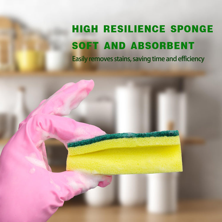Sponges Eco Non (12 Count)