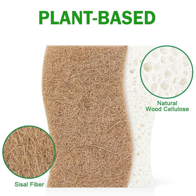 Sponges Non Scratch (6 Count)