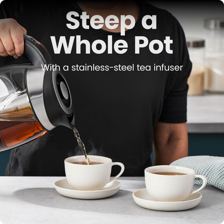 Electric Kettle with Temperature Control