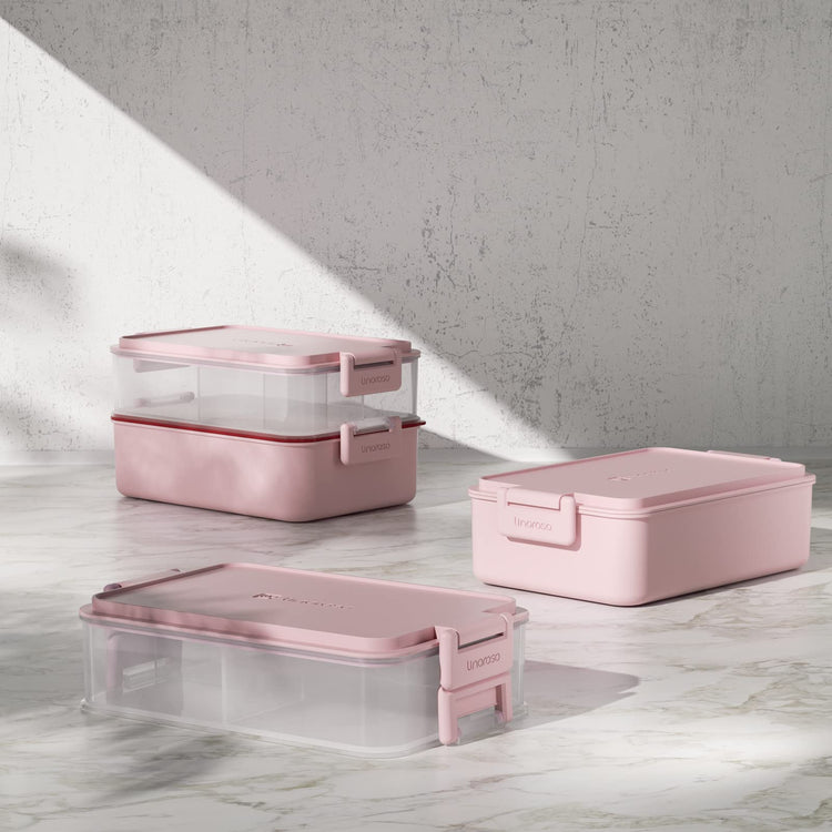 Stackable 2 Tier Adult Bento Box