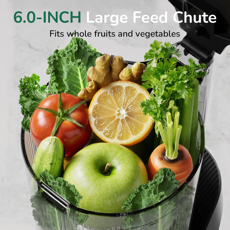 3-in-1 Cold Press Juicer C16, Makes Juice & Sorbet & Nut Milk