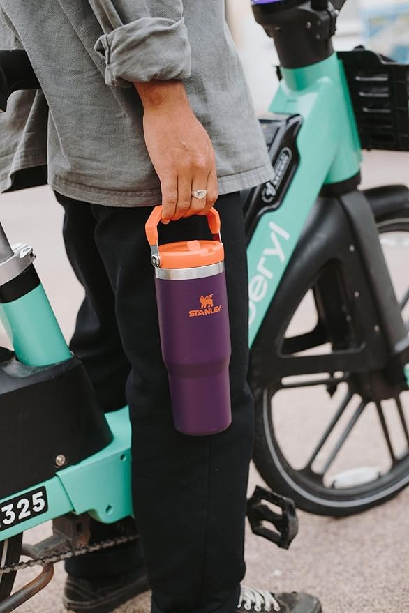 STANLEY IceFlow 2.0 Flip Straw Tumbler with Handle 20 oz | Twist On Lid and Flip Up Straw | Leakproof Water Bottle | Insulated Stainless Steel | BPA-Free | Spring Green