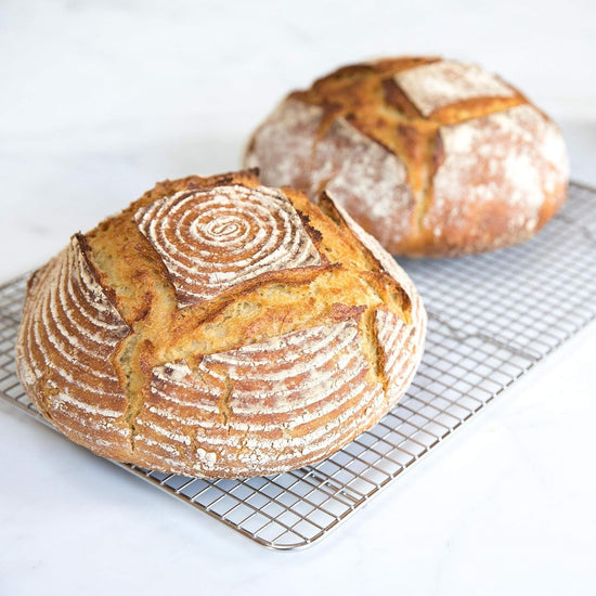 Jovial Organic Einkorn Unbleached All Purpose Flour - Bread Baking Flour for Sourdough, High Protein, Non-GMO, Organic Pizza & Pasta, European Italian, Glyphosate Free - 32 Oz, 4 Pack - Nestoria