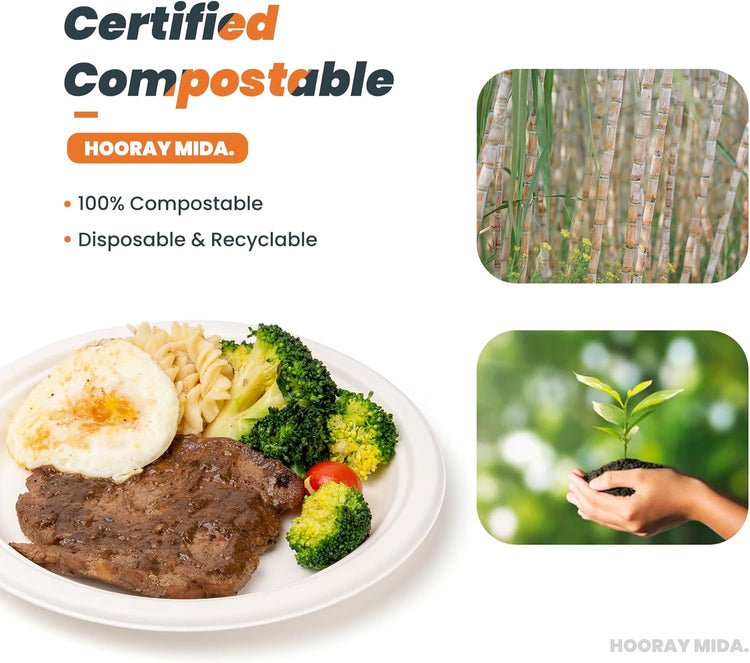 100% Compostable 9 inch Paper Plates, [125-Pack] Disposable Party Plates, (BPI Certified)-Heavy Duty, Eco-Friendly Dinner Paper Plates, Biodegradable Sugarcane Plates, white