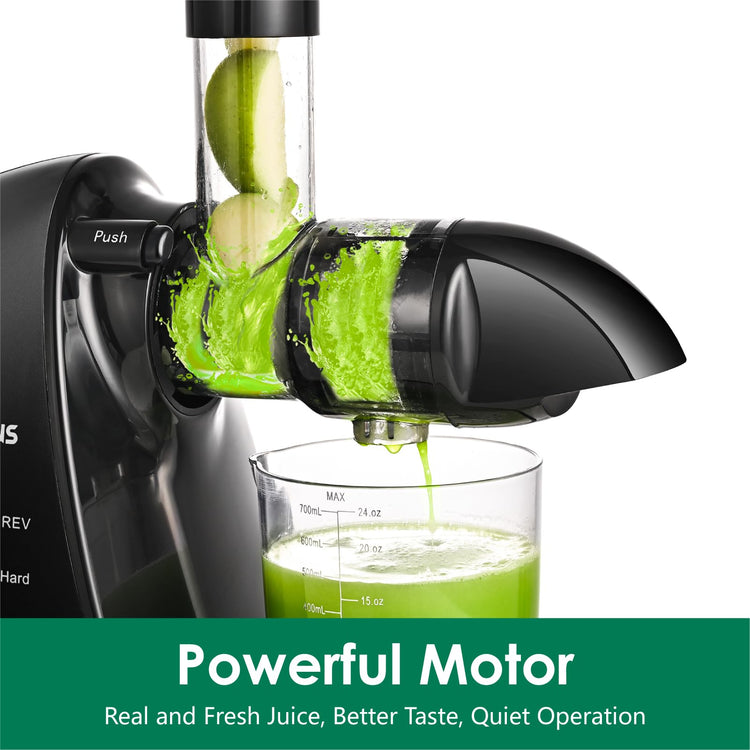 Slow Masticating Juicer